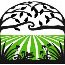 A project of the Community Action Agency of St. Louis County, we offer an income-tiered CSA to help families improve food security.