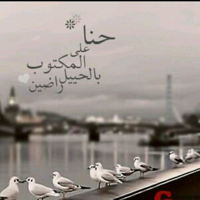الخاص ممنوع
