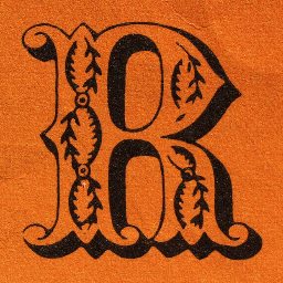 rycurious's profile picture. Pop Culture. Art. Social Media.