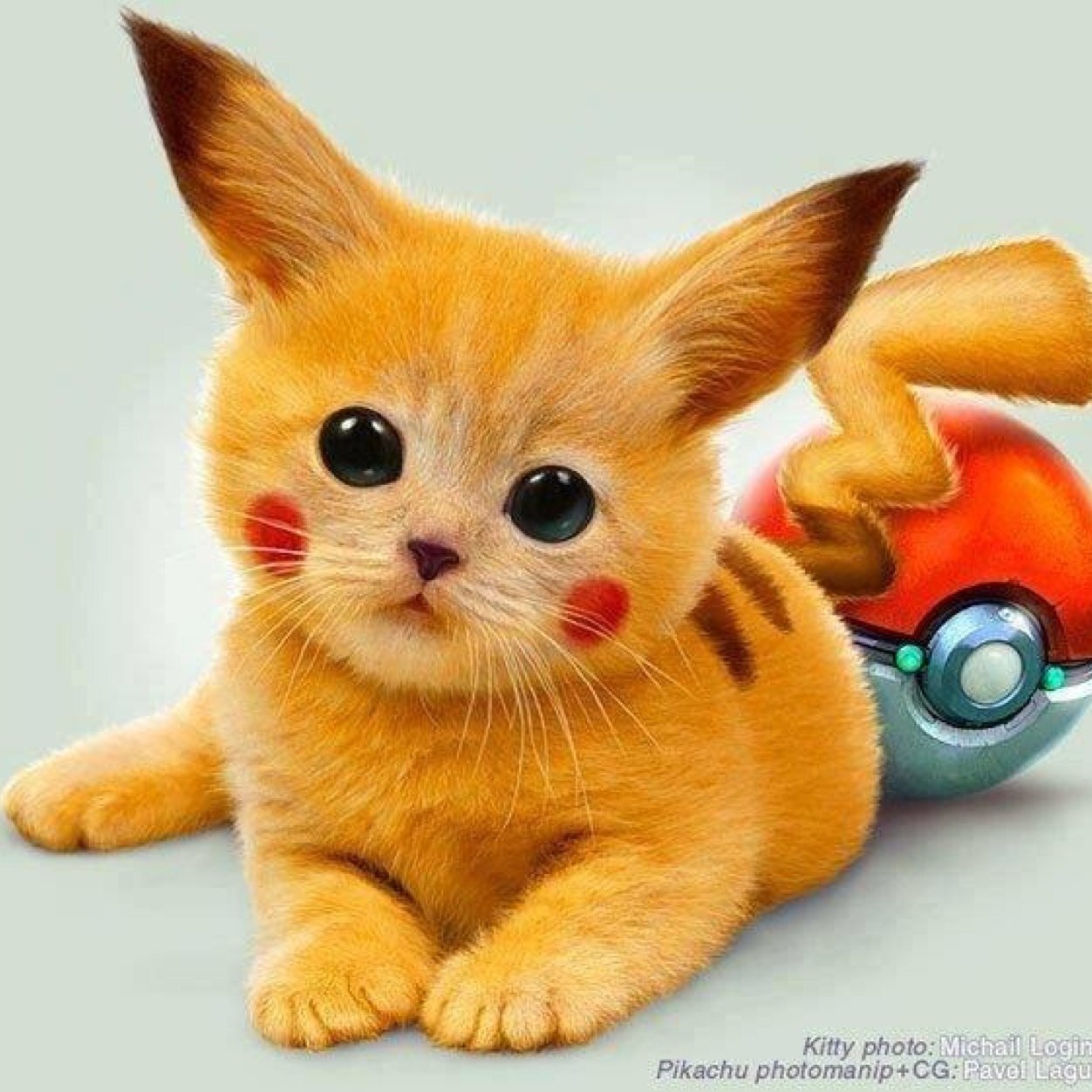 xTHE_BAD_ROBOTx's profile picture. 