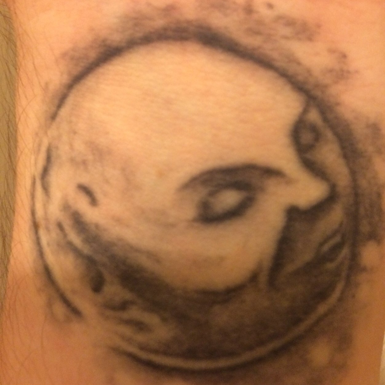 doshdoshdosh's profile picture. What goes around, comes around. @blackcattapes @woodardwebdev