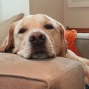 Ken Rubin - @ken_rubin - Twitter