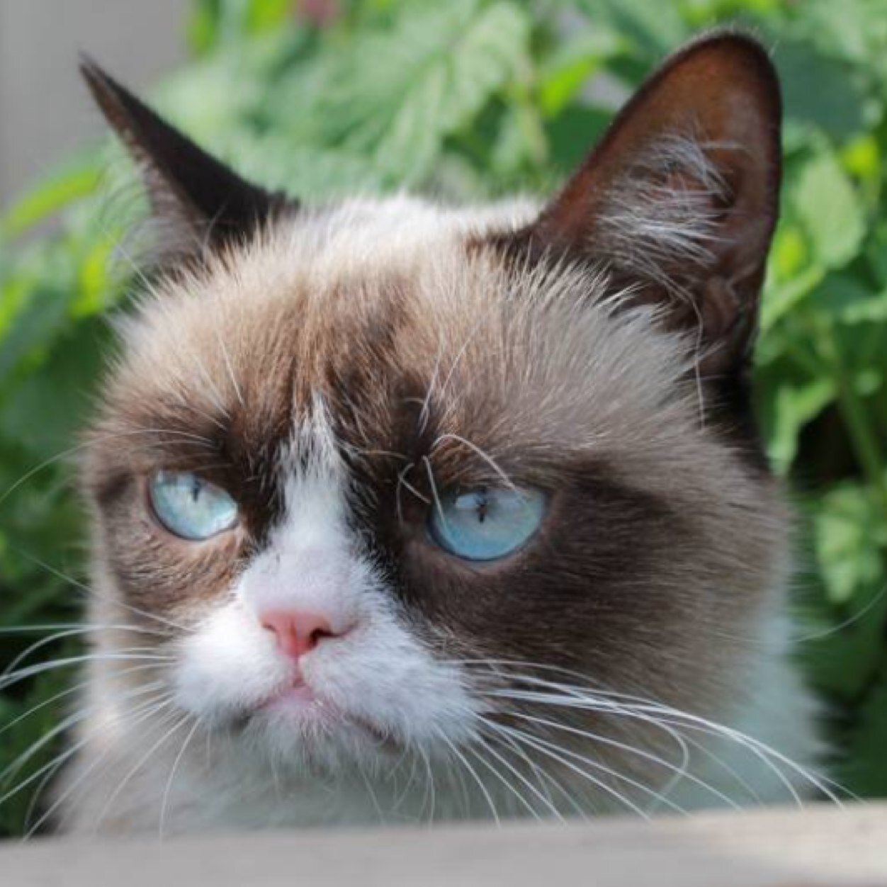 KatHooks's profile picture. 