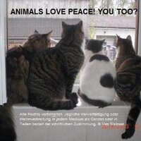 Vera Weikusat (@besserewege) 's Twitter Profile