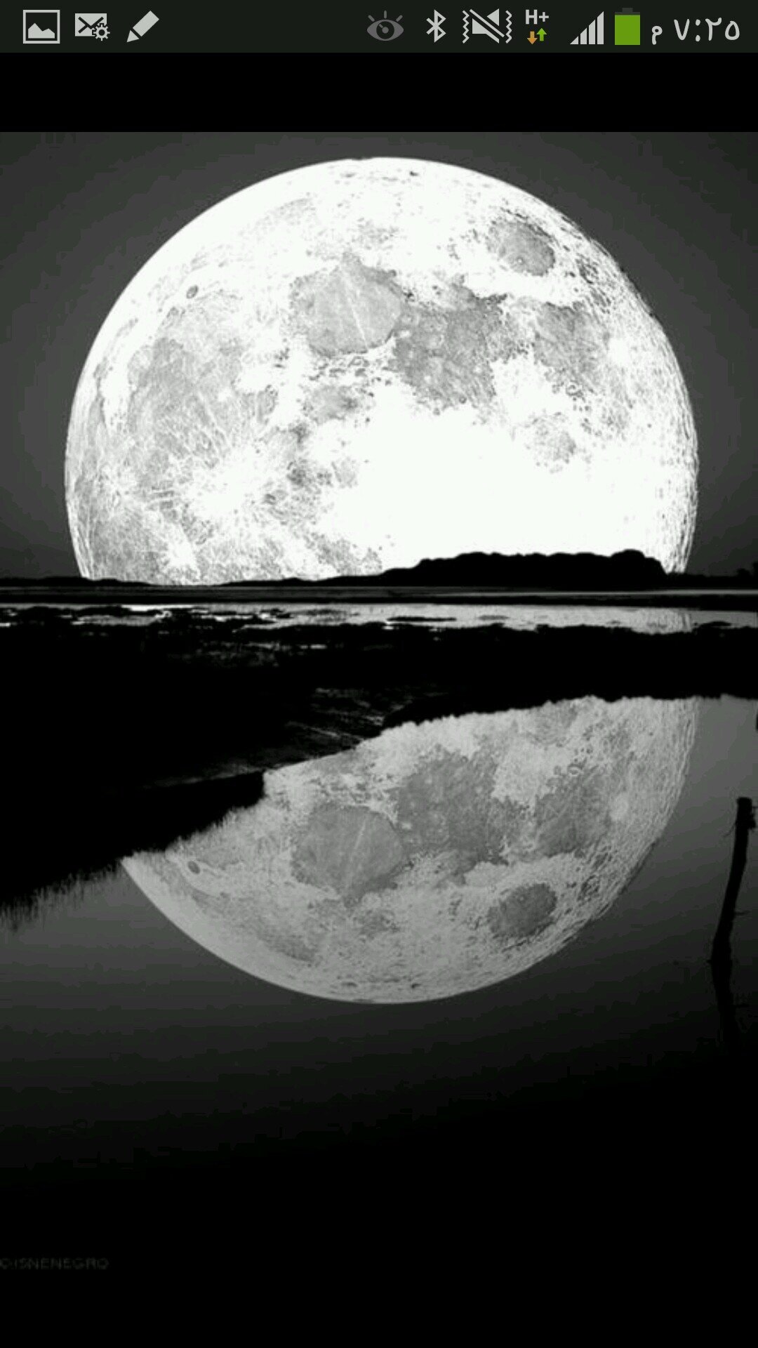 moonlight___e's profile picture. 