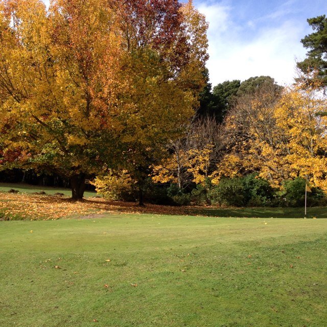 keen golfer, developing a beginners program for juniors & adult females