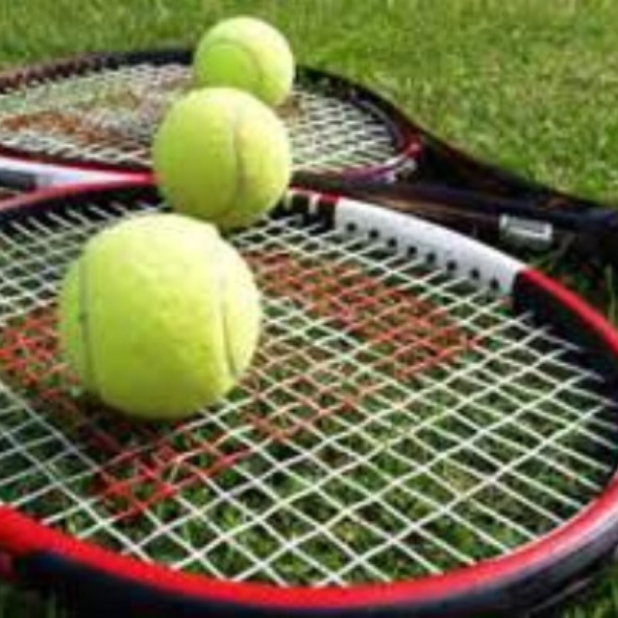 TennisRV's profile picture. Home of Redwood Valley Cardinal Boys and Girls Tennis