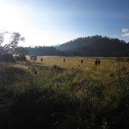 penyuka kereta||masih belajar membaca||