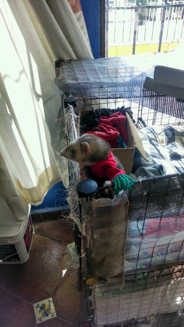 octidr's profile picture. 