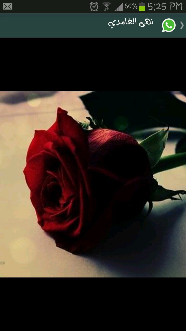 ‏‏اللهم لاتجعل في قلبي سواااااك....