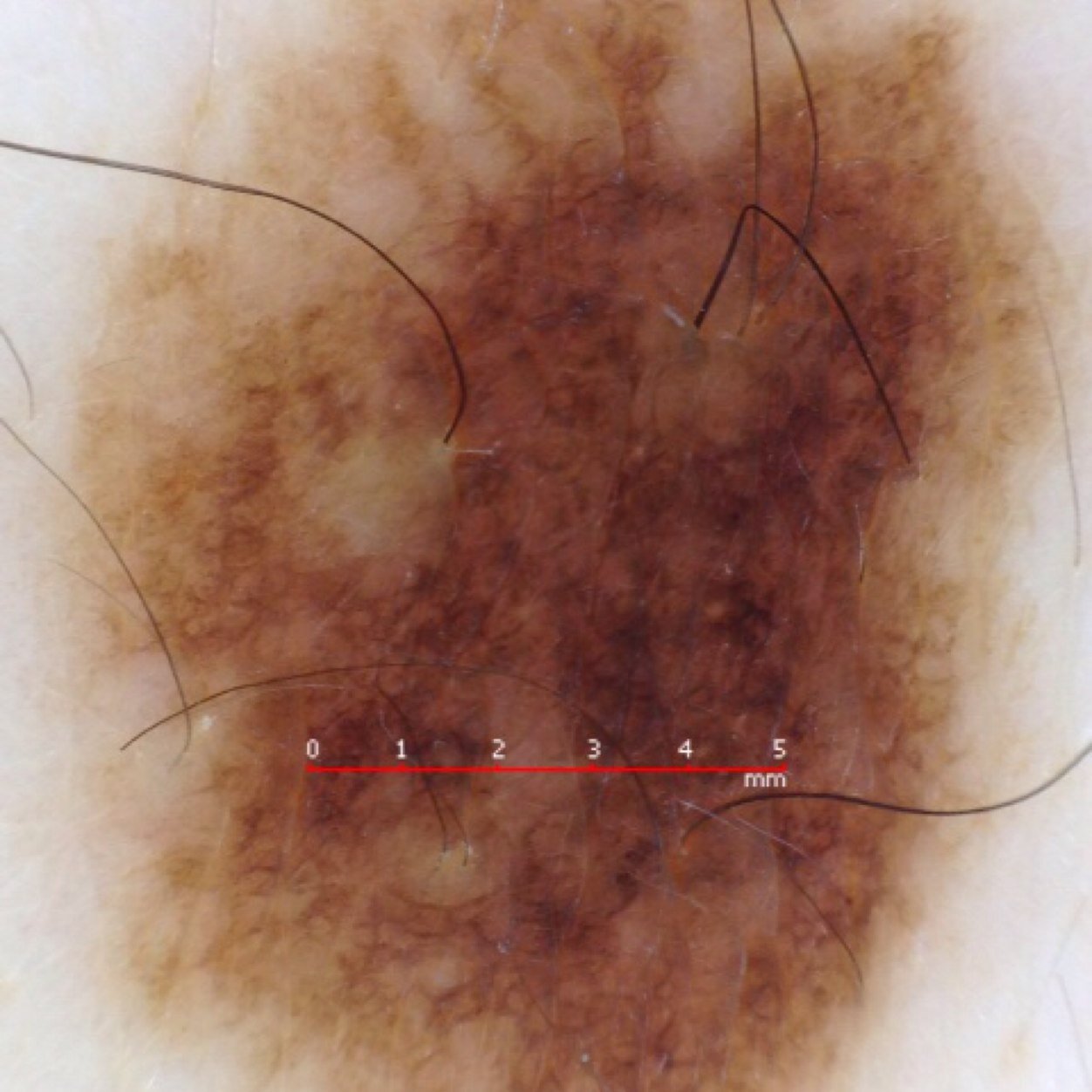 Eric_B258's profile picture. 