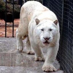 Panosgtt's profile picture. 