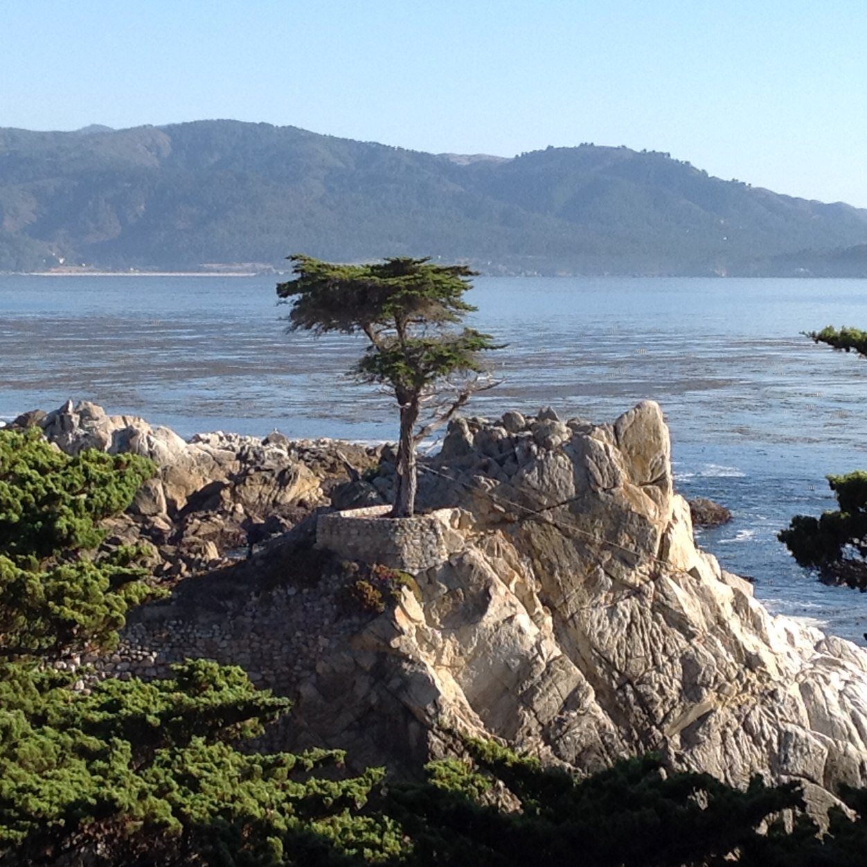 cofieldb's profile picture. 