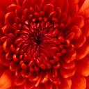 daniel anca garcia - @danielito6323 - Twitter