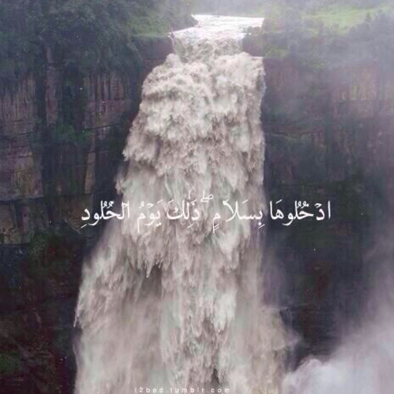 قبراًً وضع به احمد أنره يا الله❤️ -اللهم ارحم من عز علينا فراقهم و اجمعنا بهم في جنة لا فراق بعدها.