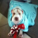 caitlin head - @caitiehead01 - Twitter