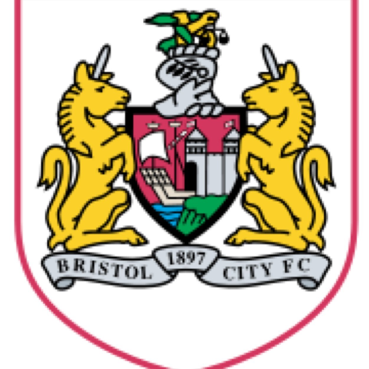 BCFC fan
