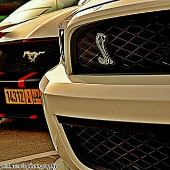 ودﻋﺗگ [ﺂﻟﻟﮬہ] وﺂﻋﺗﺑرﻧي ،، ﺗوﻓﯾت وﺂﻟوﻗت ﮔم ﻓرّق ﺧويٍ ﻋن ﺧوﯾﮪﮧ
