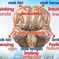 STIFInSUBANG's profile picture. Salah satu Alat untuk menentukan Mesin Kecerdasan Seseorang diantara 5 Mesin Kecerdasan dan 9 Personaliti Genetika, tentang lo, gue ahlinya