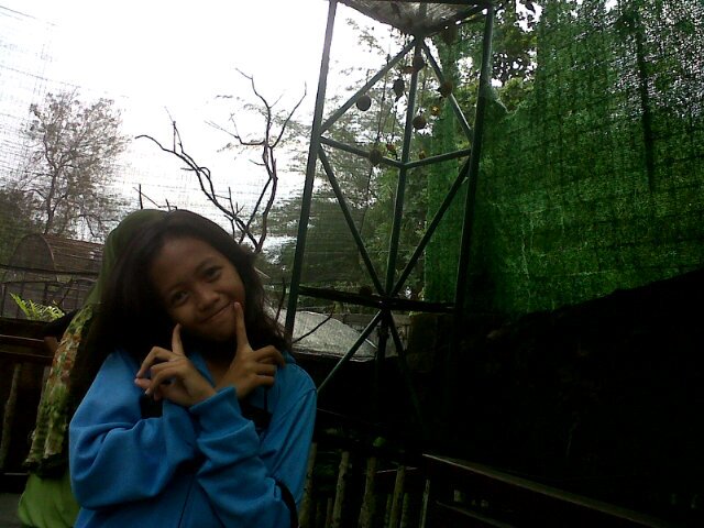 Rdlorcrdo~