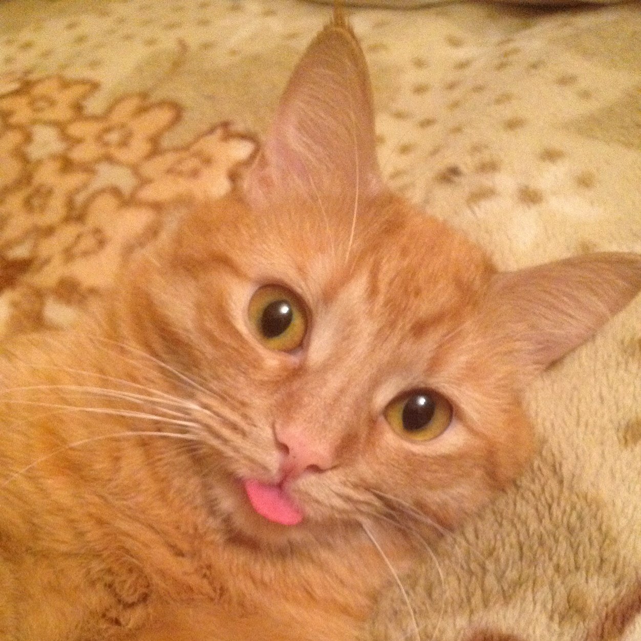 тут вам не здесь🤍💙🤍