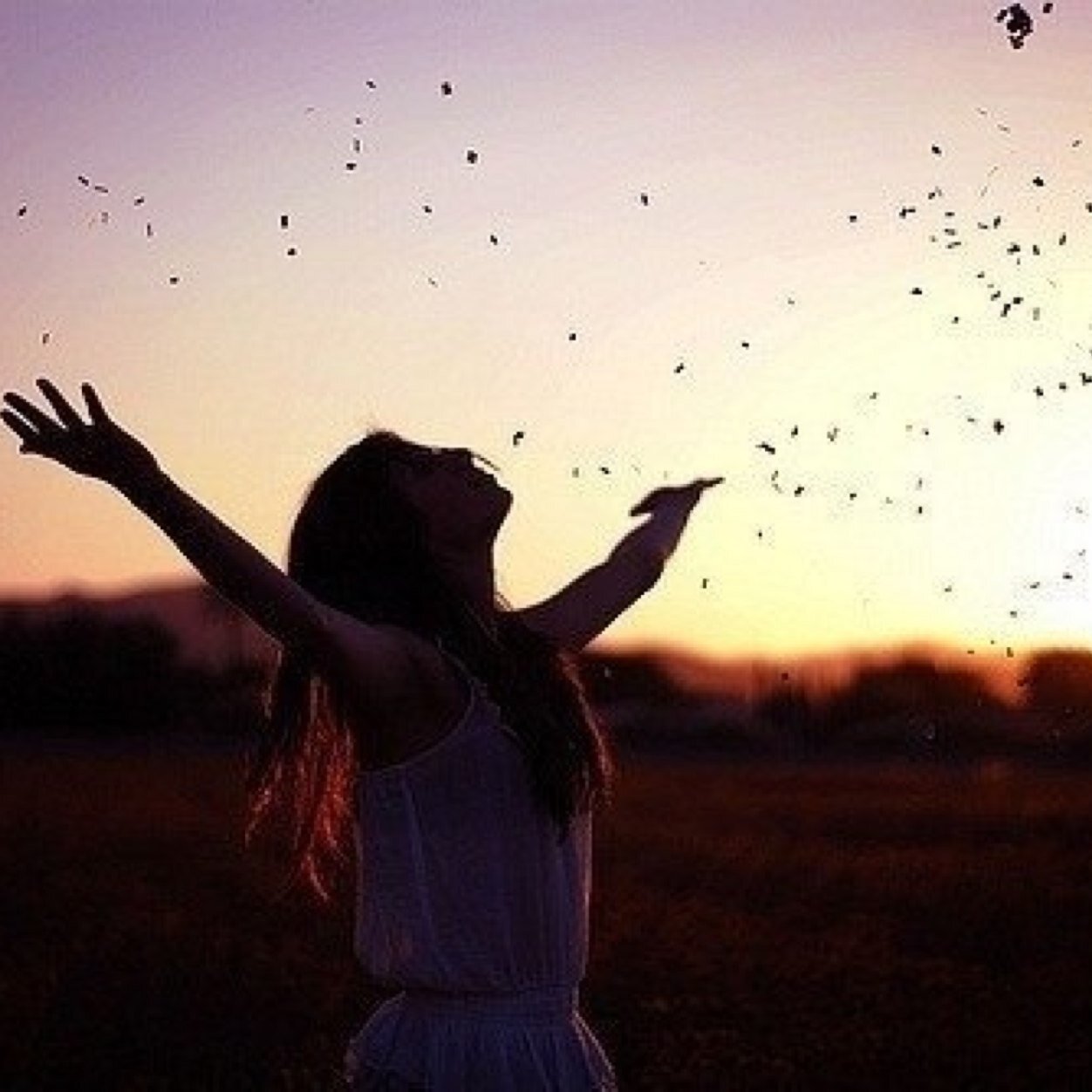 Dream ... Believe ... Inspire ... 
Let's walk to together and inspire the world! 
Personal Acc: Krishaa_dawn