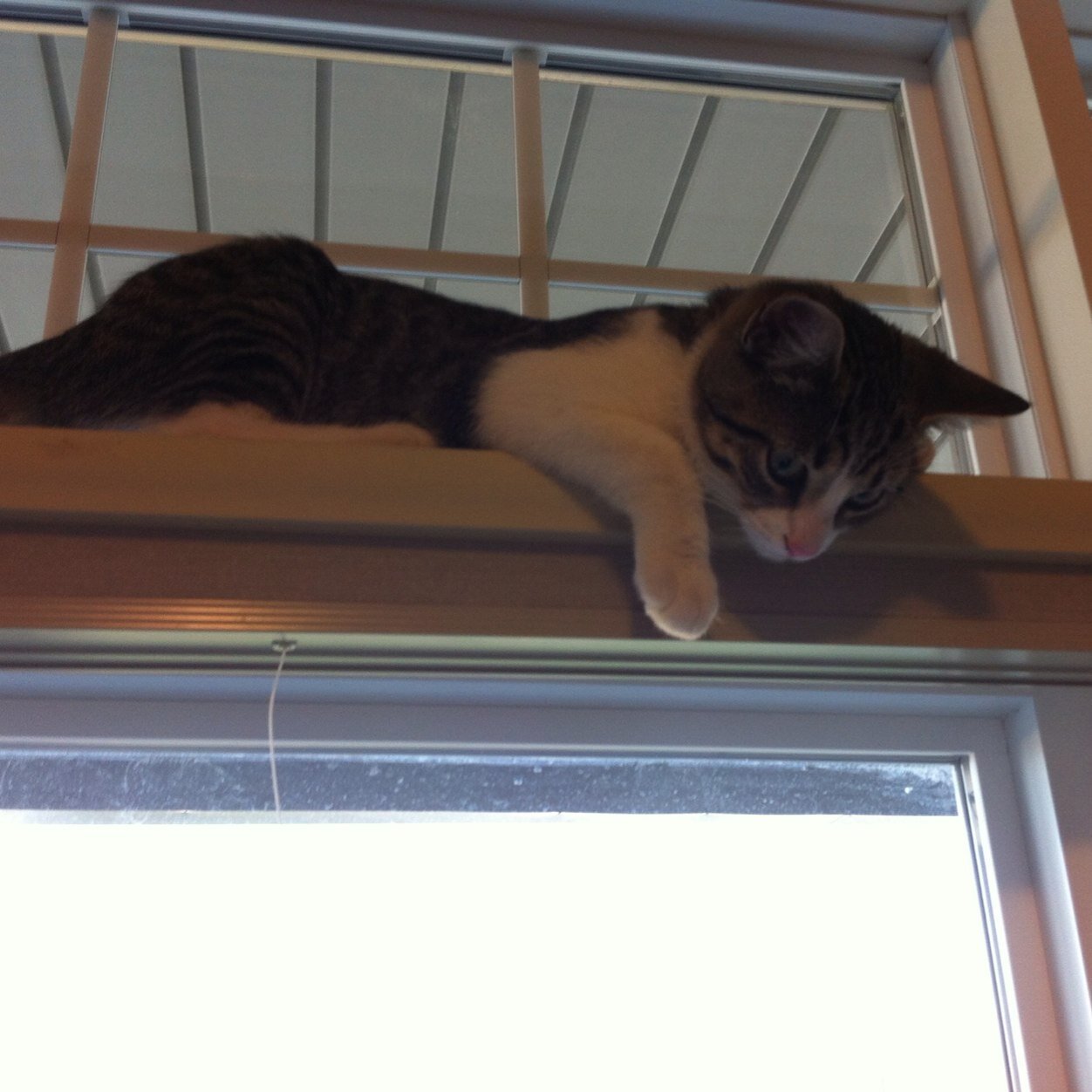 HookDeborah's profile picture. 