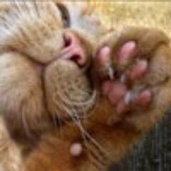 Вертеться на одном месте, как лодка в ночной тьме