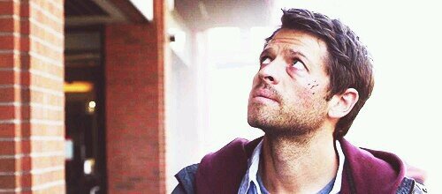 Фанат SUPERNATURAL #MishaCollins#JaredPadalecki#JensenAckles #слэшер#суперамипришибленный#Destiel#ролевик