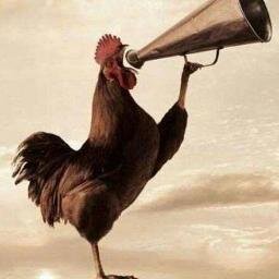 RiKabore's profile picture. Le coq qui chante à toute heure pour réveiller et tenir en éveil les consciences africaines. #Democratie #justice