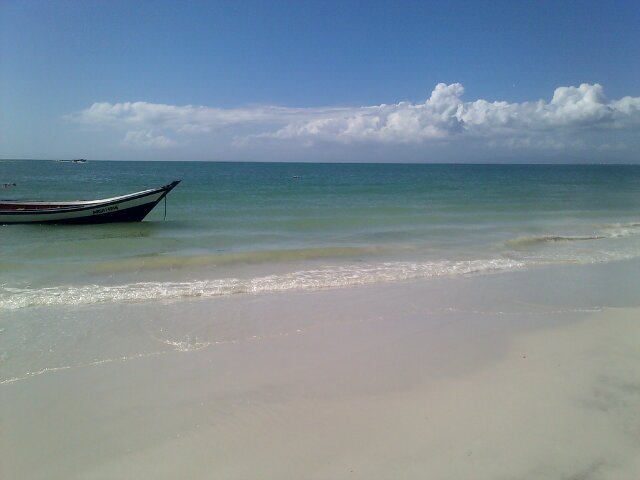 MEDL1's profile picture. 