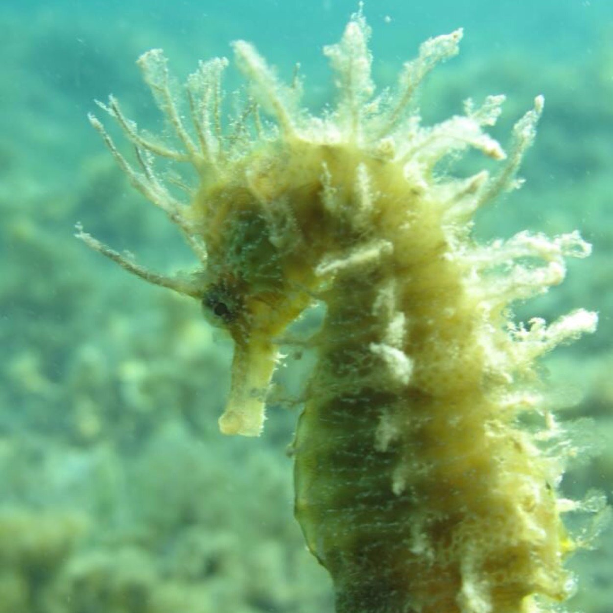 DemeerleerDirk's profile picture. 