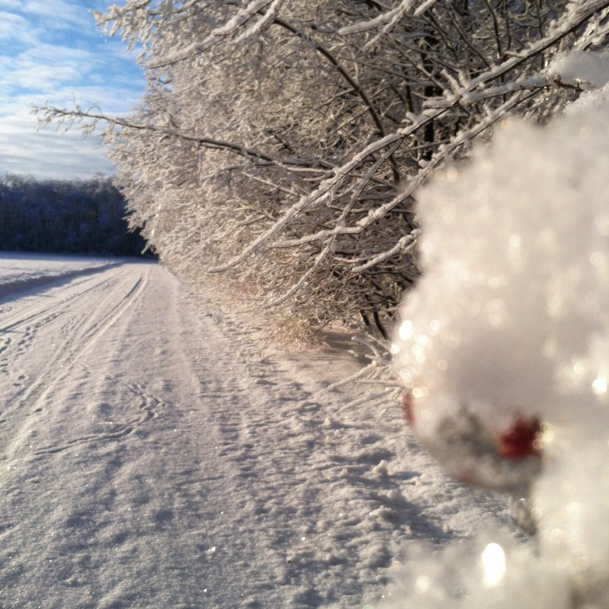 tbush616's profile picture. 