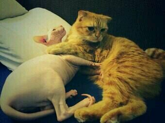 −−−−−−−−−♡ｂｏｔｏｎｌｙＬｏｖｅ♡−−−−−−−−−