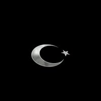 alper tunga (@awolf258) 's Twitter Profile