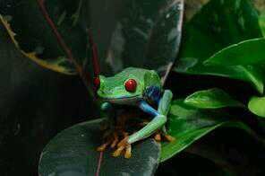 112Swiftattack's profile picture. エロいです。