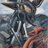 usatapatio's profile image
