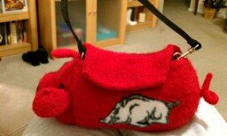 GoCombs98's profile picture. Go Razorbacks!