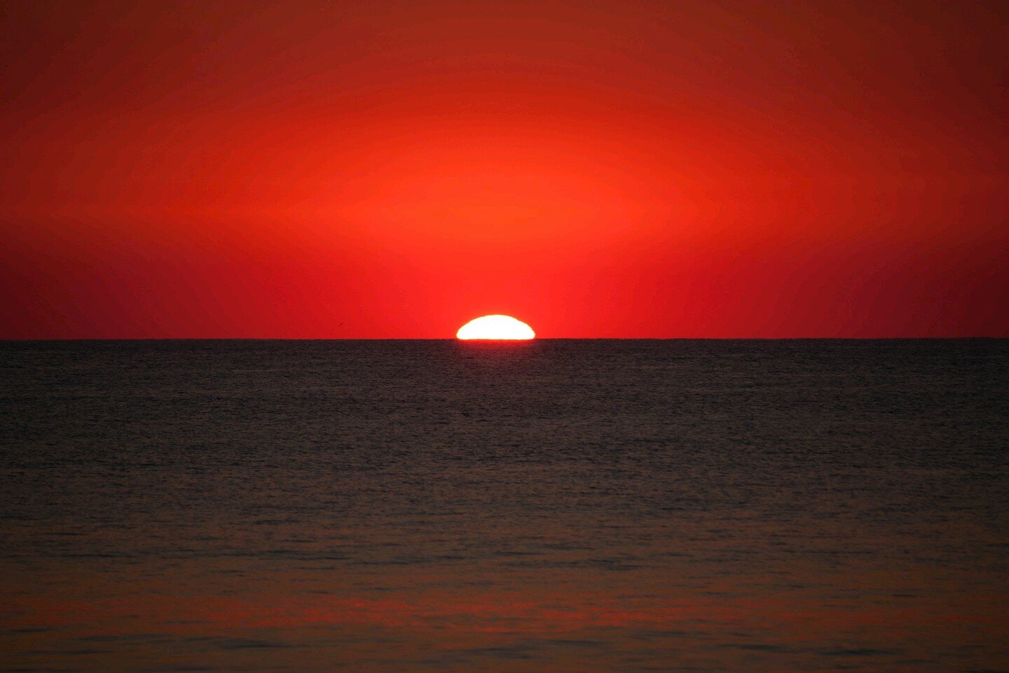 stefano2709's profile picture. 