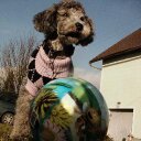 Kali Bear - @MYNAMEISKALI - Twitter