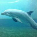 francesca contu - @contu_francesca - Twitter