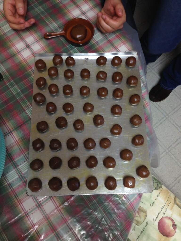 WineC00kie's profile picture. Tomorrow doesn't have any mistakes in it yet.