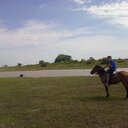 Andres Palma - @palma9430 - Twitter