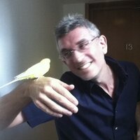 Tim Lawrence (@timlawrenceinfo) Twitter profile photo