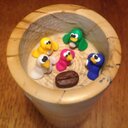 5colouredbirds (@5colouredbirds) Twitter