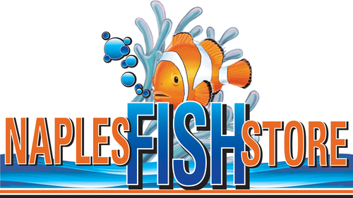 Southwest Florida's Saltwater Aquarium Specialist!