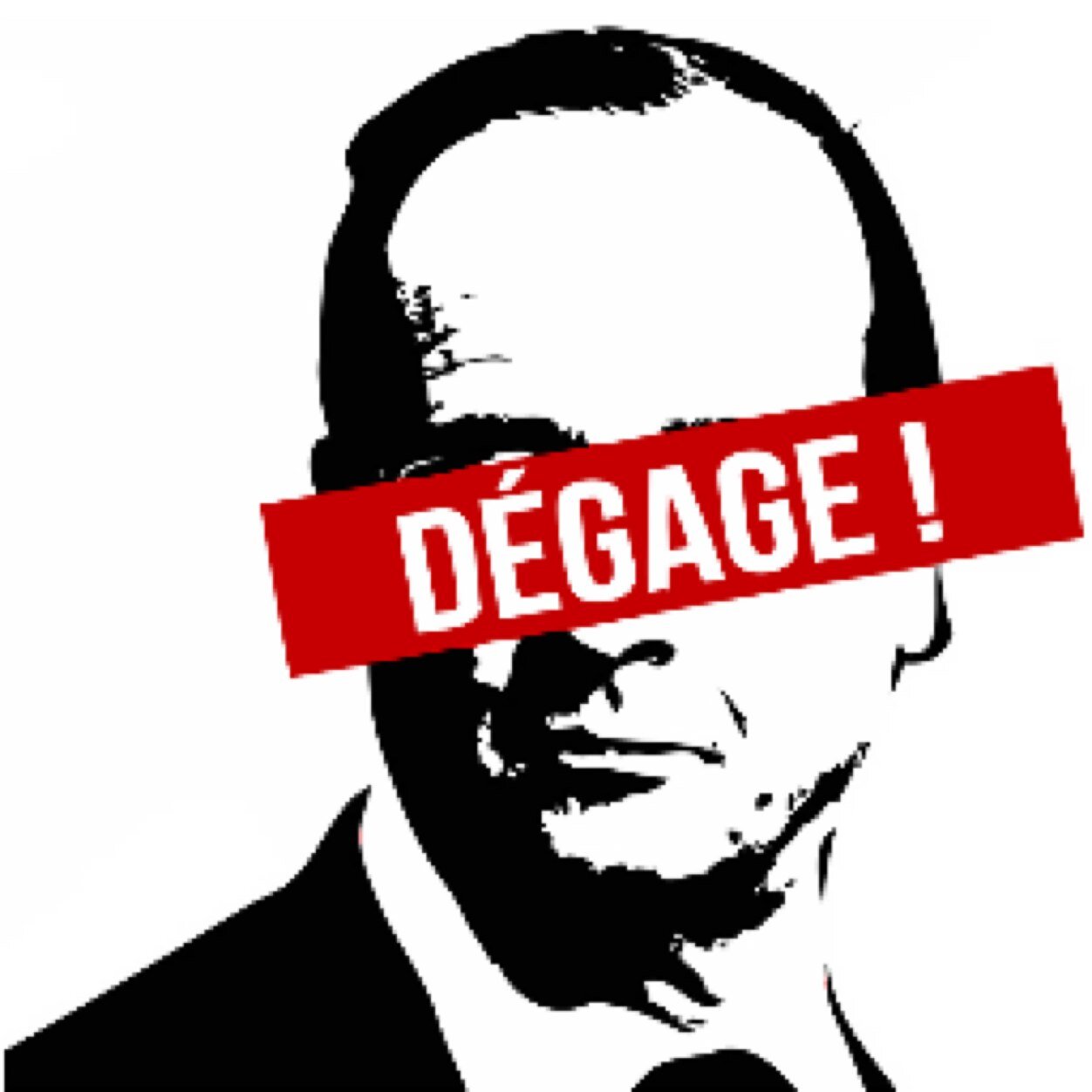 HD_Touraine's profile picture. Hollande ?  devant ses échecs et son impopularité croissante  : Une seule solution sa Démission !