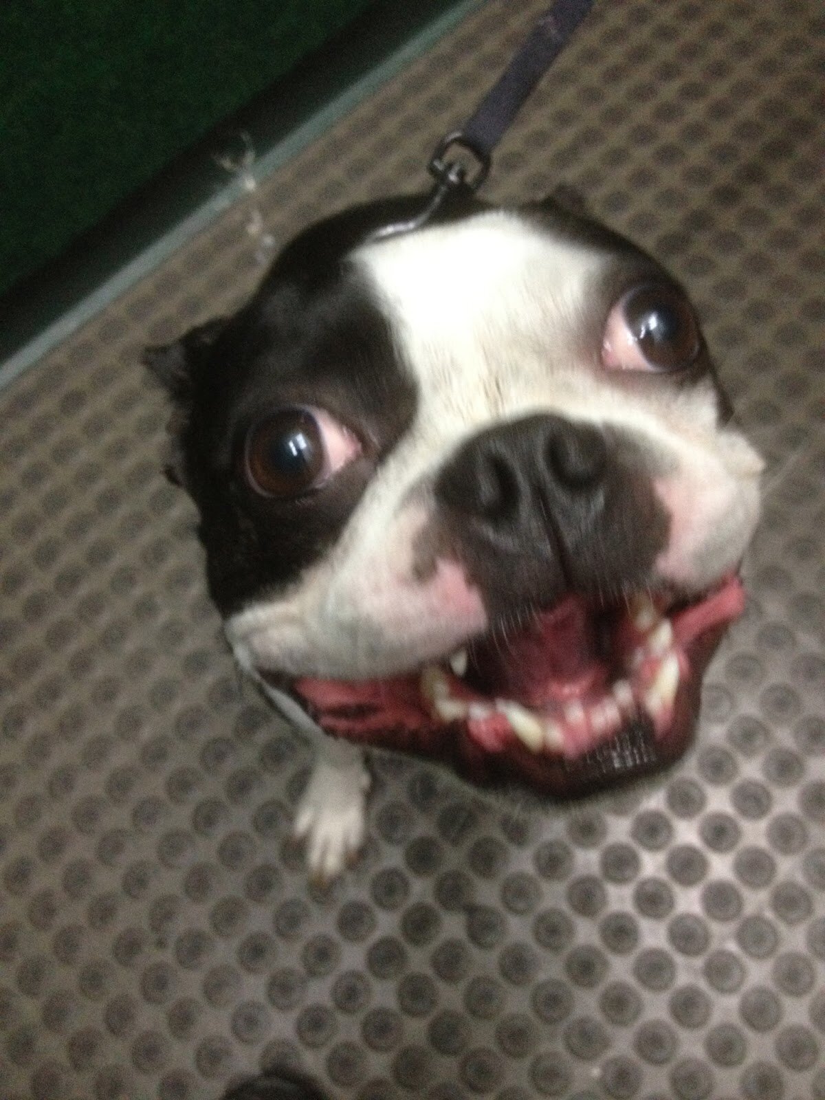 Worthhhh's profile picture. Youtube subscribe to TheLucidAlliance/NotOnlyADream