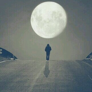 tawfeeq1436's profile picture. فيا طيب المدينة كل شبر يضيء بها ويرفل في سناها 
ويا طيب المدينة كل نفس تود لو أنها نالت رضاها  
ويا طيب الـمدينة كل شخص يحن لها و يحرص ان يراها