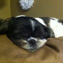 Jody Martinez - @jstephas2 - Twitter